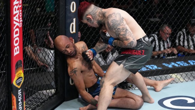 mma-journalist-gets-crushed-by-brutal-knee-in-round-1-ufc-fight