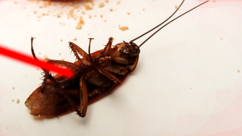 Scientists Invented A Robot That Kills Cockroaches With A Frickin’ Laser And It’s Only A ‘Little Dangerous’