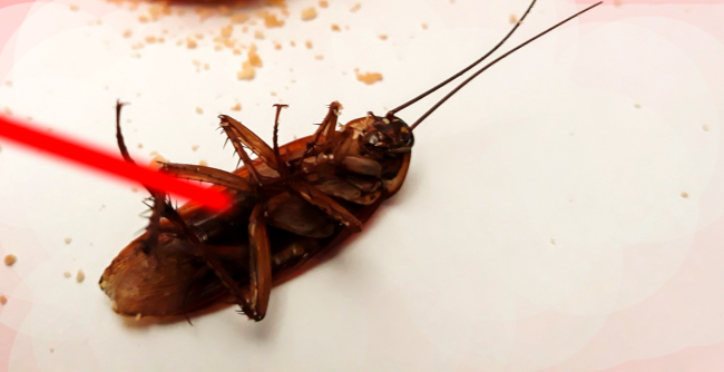 Scientists Invented A Robot That Kills Cockroaches With A Laser