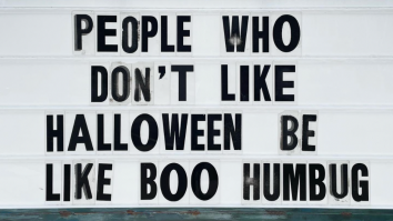 50 Of The Best Damn Photos On The Internet Today