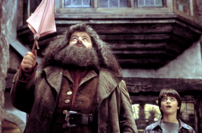 Daniel Radcliffe Pays Tribute To Late Hagrid Actor Robbie Coltrane