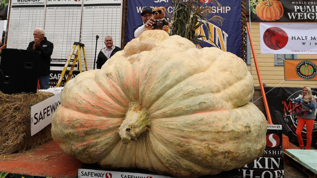 Travis Gienger grows record setting 2,560 pound pumpkin and wins competition