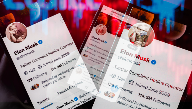 Elon Musk Banning Twitter Parody Accounts With No Warning