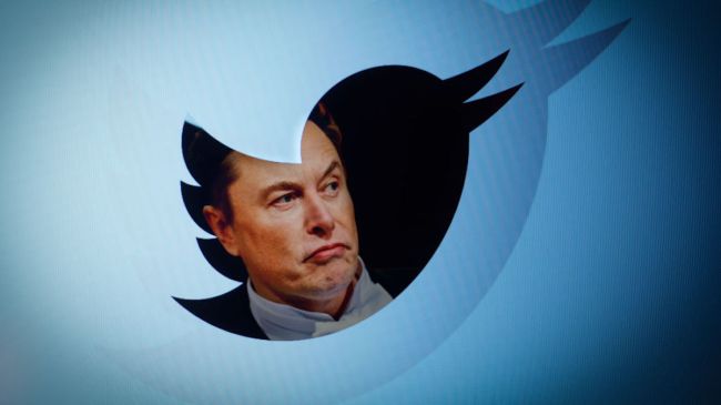 elon musk surrounded by a twitter logo