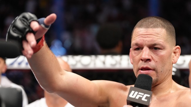 Nate Diaz chimes in on Conor McGregor