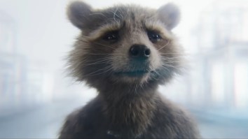 PETA, Of All People, Are Huge Fans Of ‘Guardians Of The Galaxy Vol. 3’