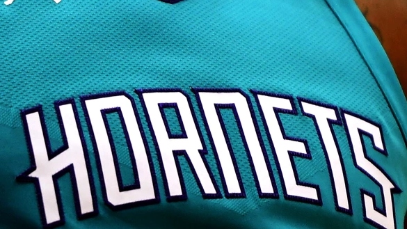 Hornets jersey