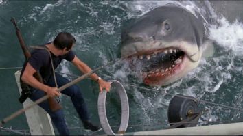 Steven Spielberg Feels Bad For What ‘Jaws’ Did To Sharks