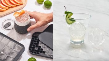 You’re Not A Real Bartender Until You Get These Cocktail Ice Cube Trays