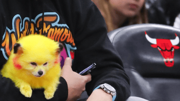 NBA Fan Who Went Viral For Bringing His Yellow-Dyed Dog Courtside Is Now In Hot Water