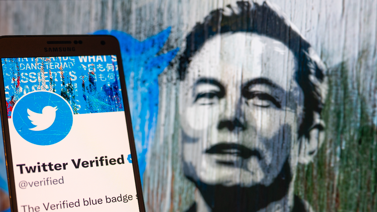 Elon Musk Twitter Blue