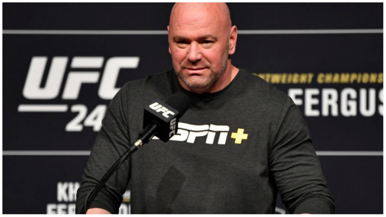 Dana White answering questions