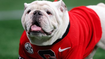 PETA Calls For The End Of A Beloved Georgia Bulldogs Tradition