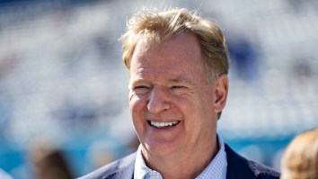 Roger Goodell Uncharacteristically Mocks Fan After Vikings-Giants Game