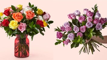 ProFlowers Has Farm-To-Door Roses For Valentine’s Day 2023