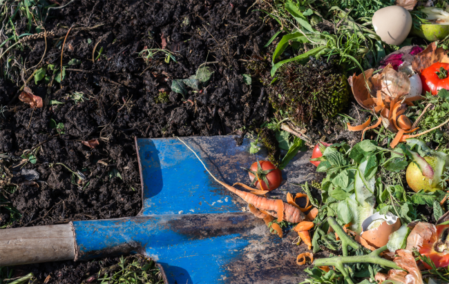 shovel in compost