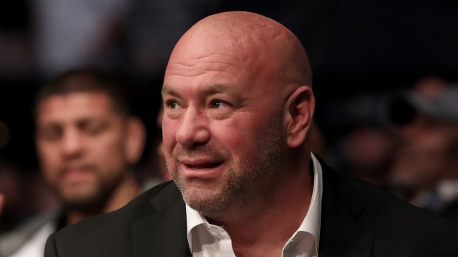 Dana White