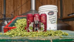 We Created A Lineup Of Our Favorite Dogfish Head Beers And Paired Them With Gameday Foods
