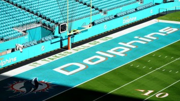 Players Reportedly Applauded When New Miami Dolphins Coach Was Fired From His Last Job