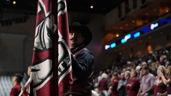 New Mexico State logo on a flag