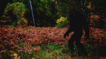 Bigfoot Spotted On Trail Camera Photo In Washington Leaves Witnesses ‘Mystified’