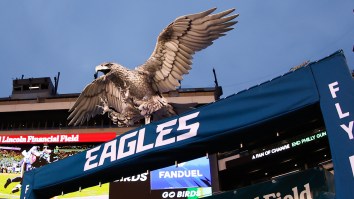 Eagles Want This XFL Rule In The NFL And Fans Are At Odds