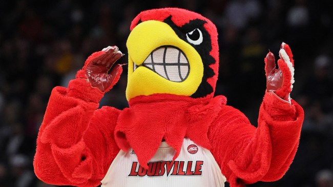 Louisville Cardinals basketball mascot
