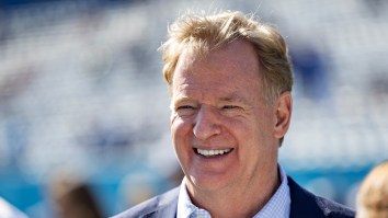 Fans Are Floored By Roger Goodell’s Take About NFL Officiating