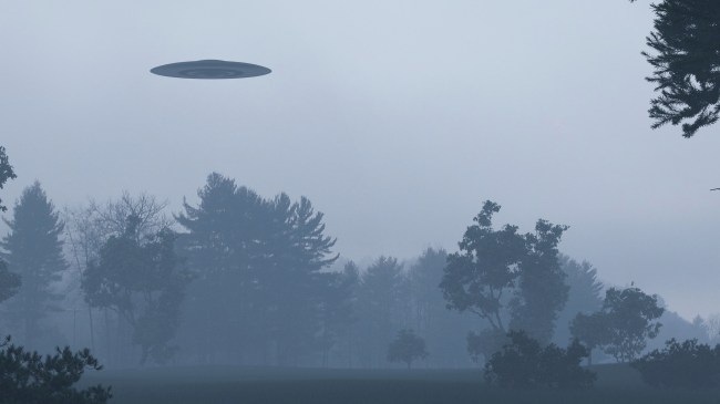 UFO hovering over forest