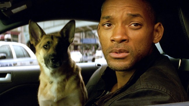 will smith in i am legend