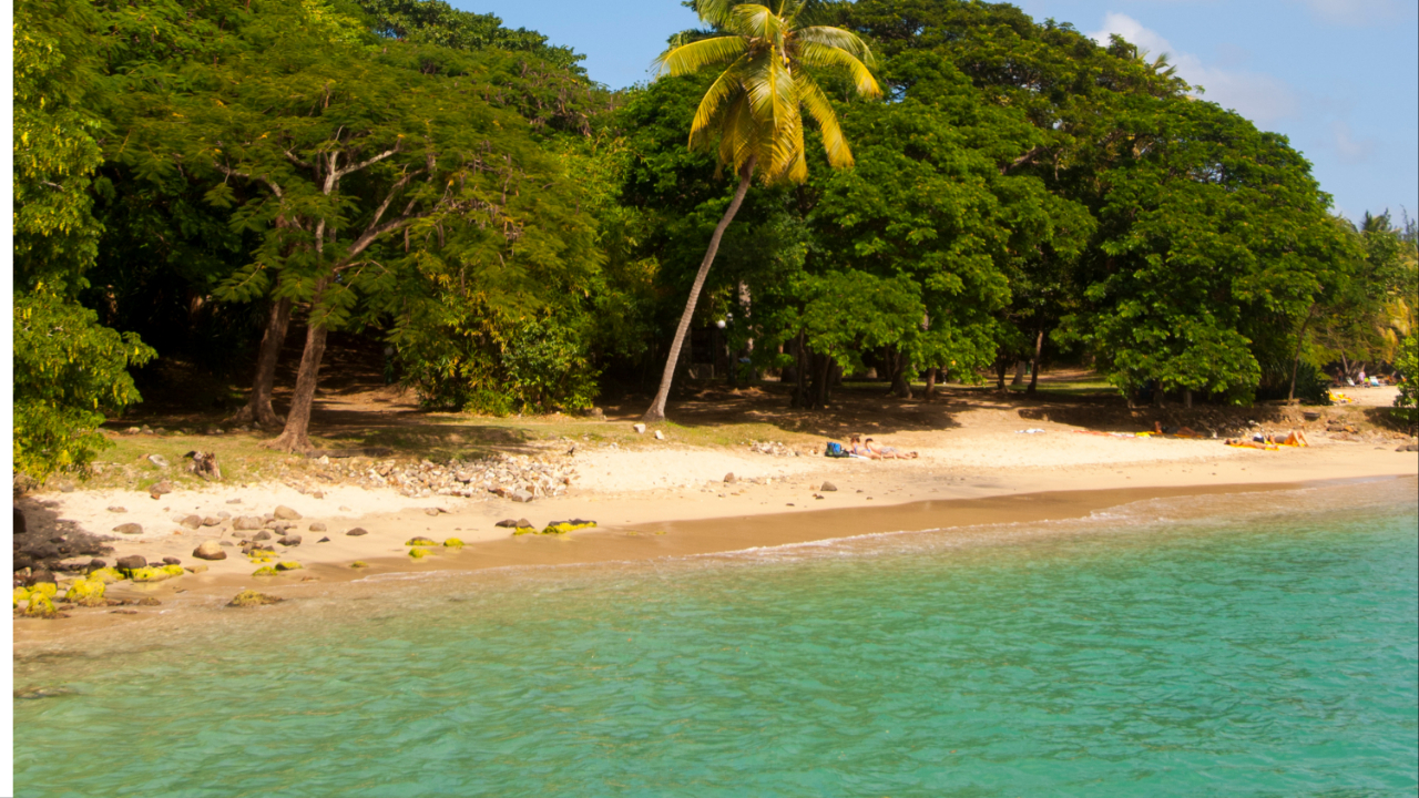 Photo of St Lucia beach