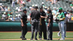 Umpire Claims That Racial Abuse Led To Viral Strike Call That Ended Game