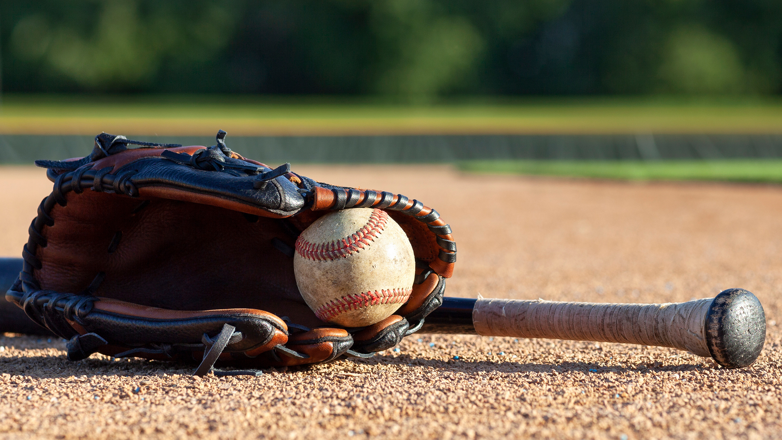 College Baseball Announcer 'Designated Hitler' SlipUp Goes Viral