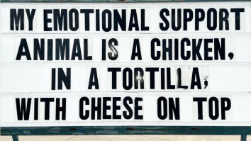 Funniest New Memes And Viral Tweets Today (50 Pics)