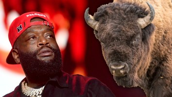 Rick Ross Is Beefing With His Neighbor Over His Gang Of Roaming Buffaloes