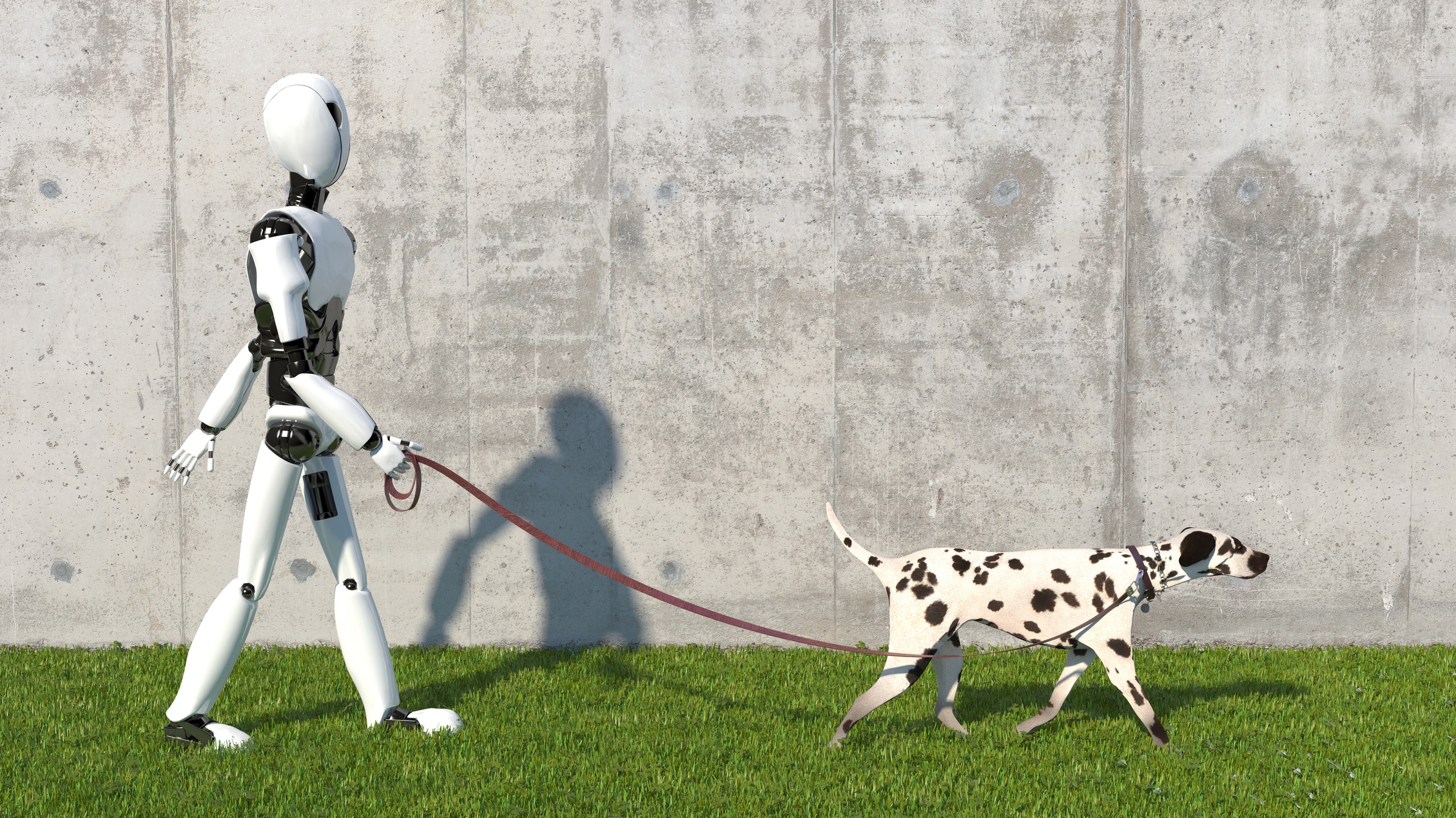 robot walking a dog