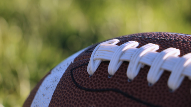 A football rests on the field.