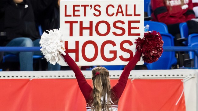 An Arkansas Razorbacks cheerleader holds a sign during the Liberty Bowl.