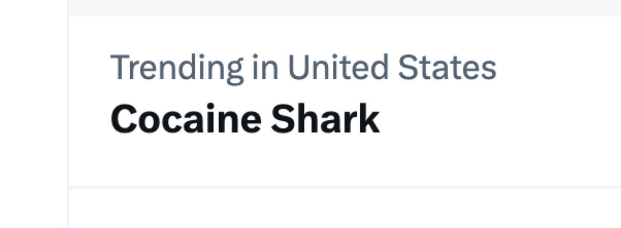 Cocaine Shark trending