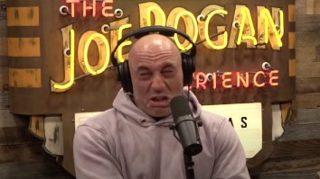 Joe Rogan Can’t Hide His Fear Of Snakes While Discussing Florida’s Python Invasion