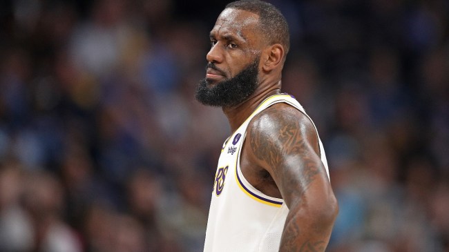 LeBron James stands on the court during a Lakers playoff game.