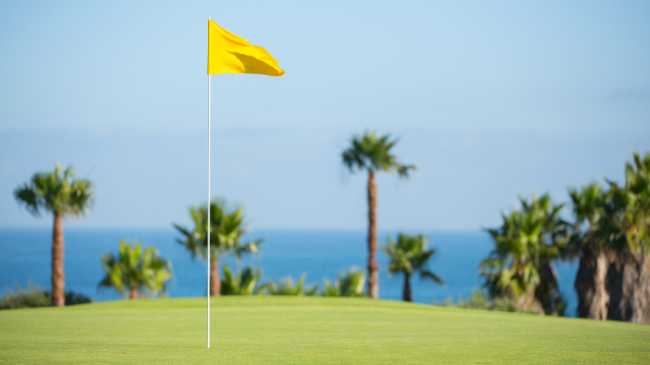 A view of a flag on a golf green.