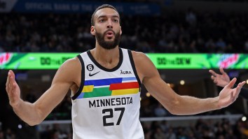Timberwolves Announce Punishment For Rudy Gobert’s Fight With Teammate