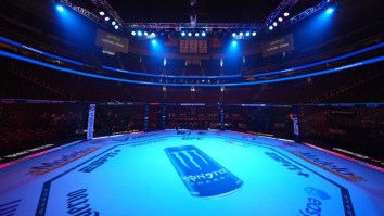 New Report Reveals Ridiculous Revenue Split For UFC’s Fighters
