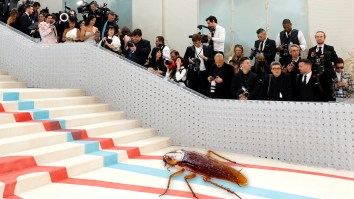 A Cockroach Was The Unexpected Star Of The Met Gala
