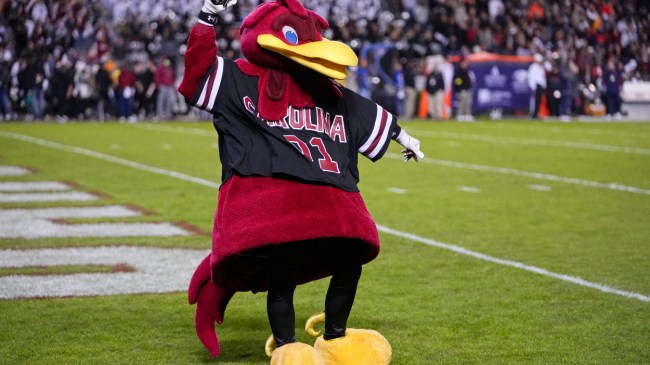 The South Carolina Gamecocks mascot cheers on the team.