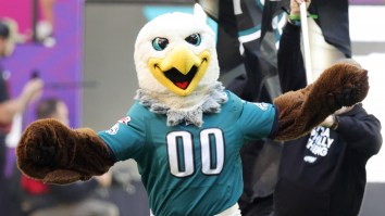 Someone Asked AI To Reimagine Every NFL Mascot And It Is Nightmare Fuel