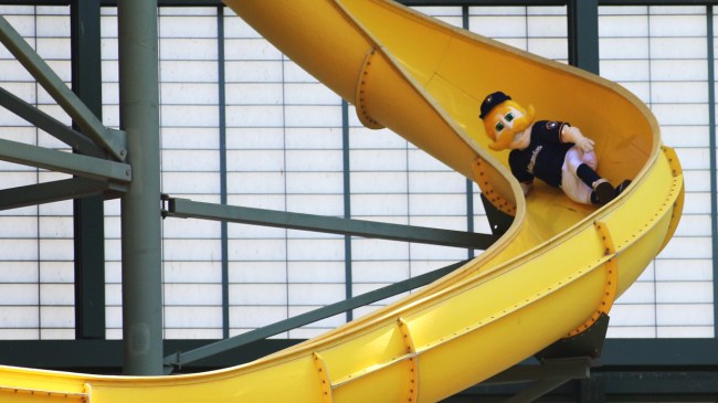 The Brewers mascot slides down the slide at American Family Field.