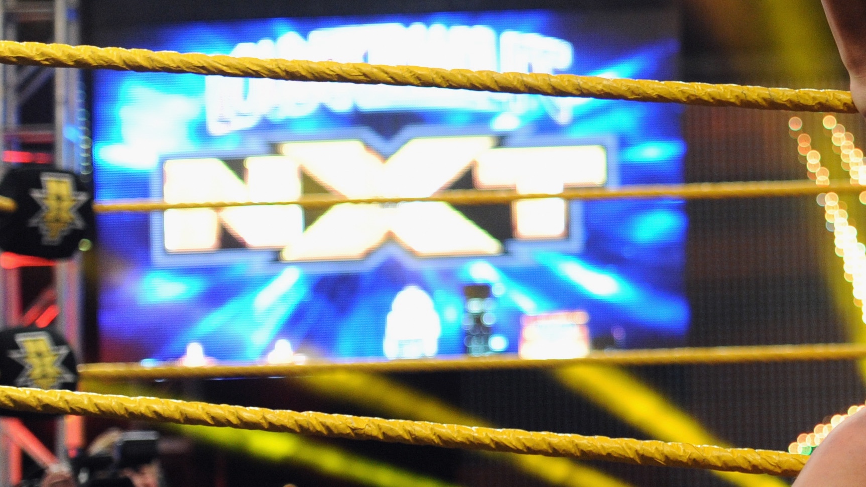 NXT wrestling logo