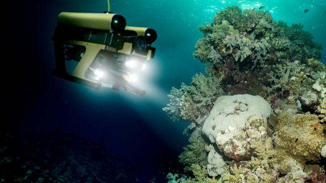 robot inspects ocean floor - 5000 new species